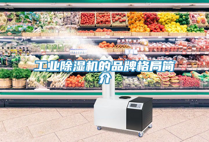 工业小黄片直播视频的品牌格局简介