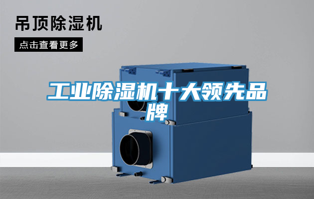 工业小黄片直播视频十大领先品牌