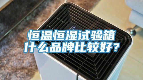 恒温恒湿试验箱什么品牌比较好？