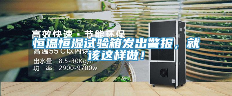 恒温恒湿试验箱发出警报，就该这样做！