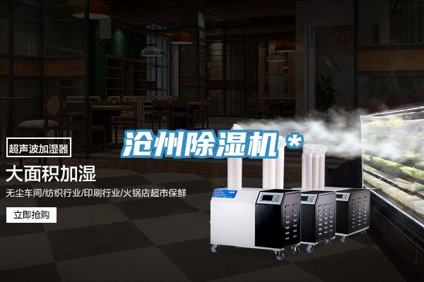 沧州小黄片直播视频＊