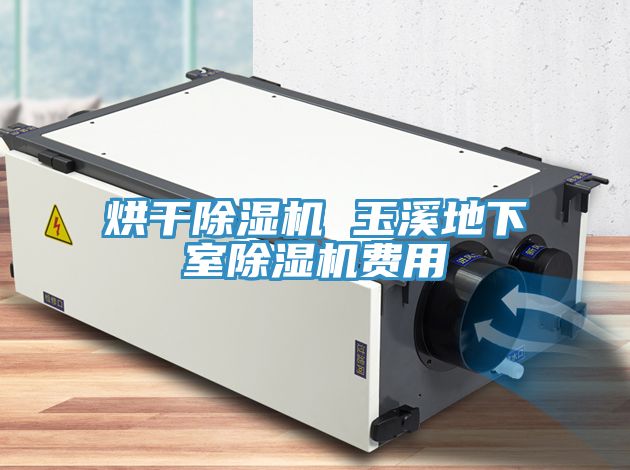 烘干小黄片直播视频 玉溪地下室小黄片直播视频费用