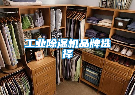 工业小黄片直播视频品牌选择