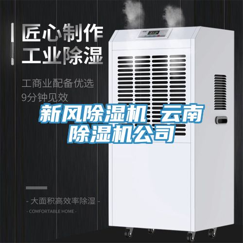 新风小黄片直播视频 云南小黄片直播视频公司