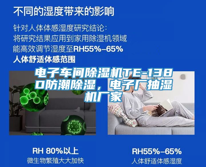 电子车间小黄片直播视频TE-138D防潮除湿，电子厂抽湿机厂家