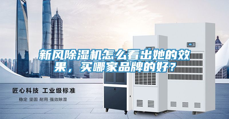 新风小黄片直播视频怎么看出她的效果，买哪家品牌的好？
