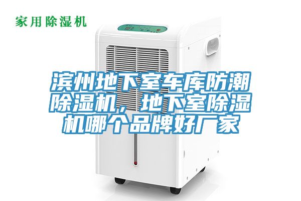 滨州地下室车库防潮小黄片直播视频，地下室小黄片直播视频哪个品牌好厂家