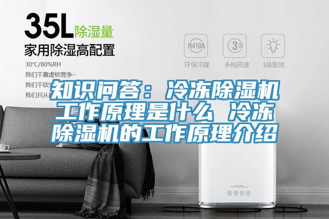 知识问答：冷冻小黄片直播视频工作原理是什么 冷冻小黄片直播视频的工作原理介绍