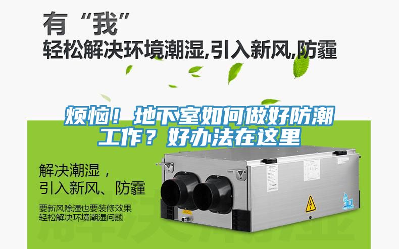 烦恼！地下室如何做好防潮工作？好办法在这里