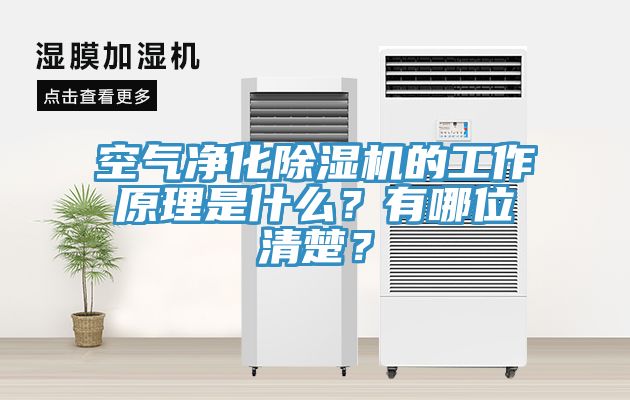 空气净化小黄片直播视频的工作原理是什么？有哪位清楚？