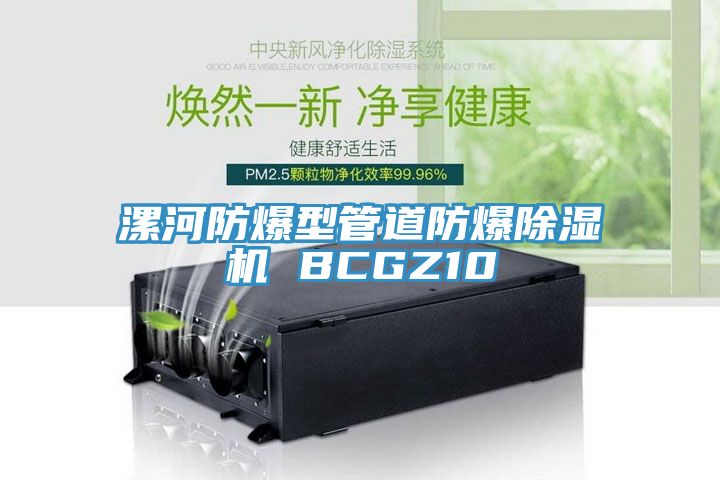 漯河防爆型管道防爆小黄片直播视频 BCGZ10