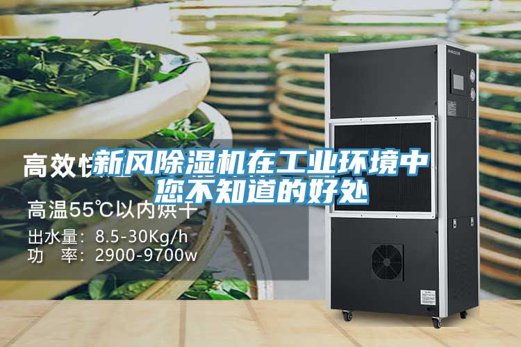 新风小黄片直播视频在工业环境中您不知道的好处