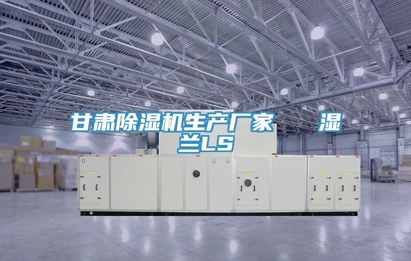 甘肃小黄片直播视频生产厂家   湿兰LS