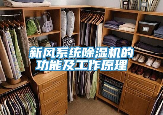 新风系统小黄片直播视频的功能及工作原理