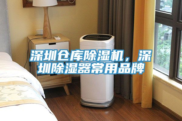 深圳仓库小黄片直播视频，深圳除湿器常用品牌