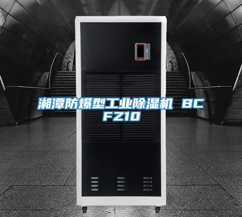 湘潭防爆型工业小黄片直播视频 BCFZ10