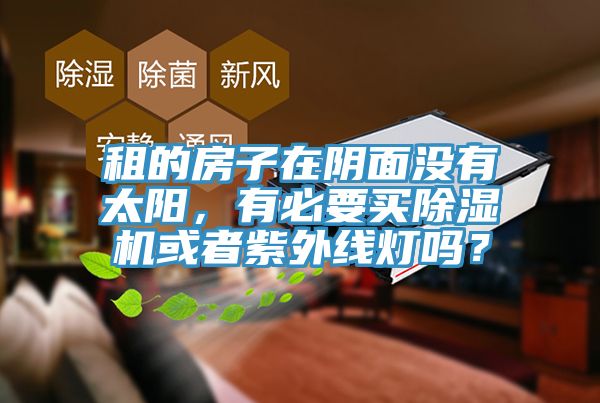 租的房子在阴面没有太阳，有必要买小黄片直播视频或者紫外线灯吗？