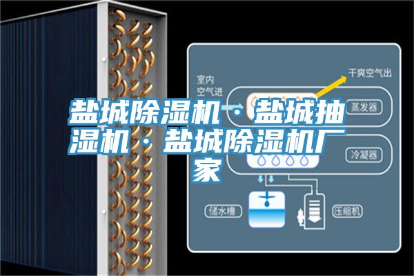 盐城小黄片直播视频·盐城抽湿机·盐城小黄片直播视频厂家