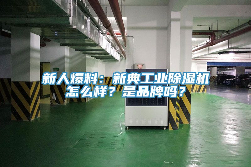 新人爆料：新典工业小黄片直播视频怎么样？是品牌吗？