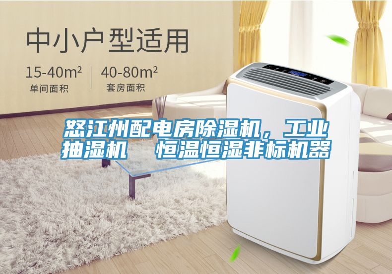 怒江州配电房小黄片直播视频，工业抽湿机  恒温恒湿非标机器