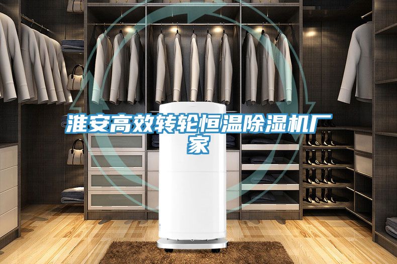 淮安高效转轮恒温小黄片直播视频厂家