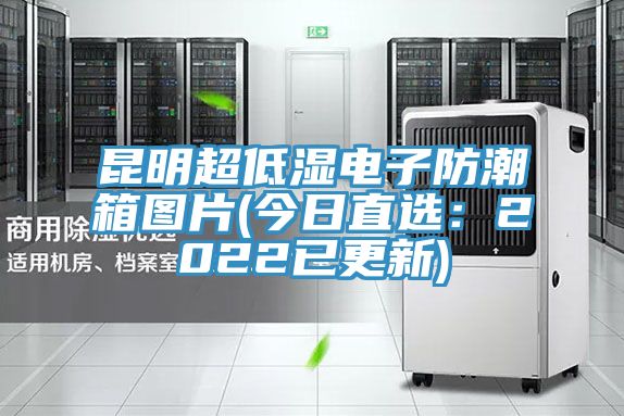 昆明超低湿电子防潮箱图片(今日直选：2022已更新)