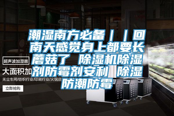 潮湿南方必备｜｜回南天感觉身上都要长蘑菇了 小黄片直播视频除湿剂防霉剂安利 除湿防潮防霉