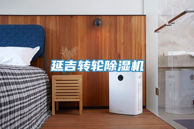 延吉转轮小黄片直播视频