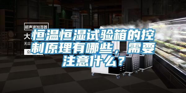 恒温恒湿试验箱的控制原理有哪些，需要注意什么？
