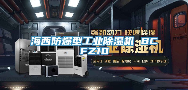 海西防爆型工业小黄片直播视频 BCFZ10