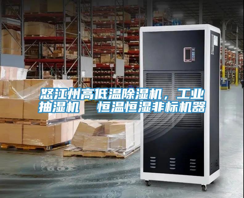 怒江州高低温小黄片直播视频，工业抽湿机  恒温恒湿非标机器
