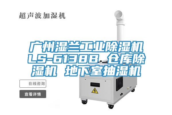 广州湿兰工业小黄片直播视频LS-6138B 仓库小黄片直播视频 地下室抽湿机