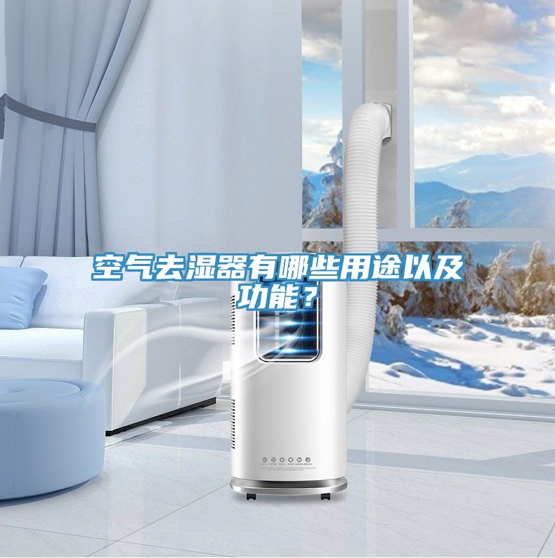 空气去湿器有哪些用途以及功能？