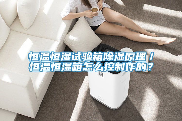 恒温恒湿试验箱除湿原理／恒温恒湿箱怎么控制作的？