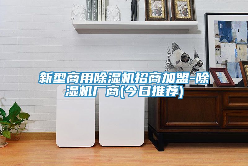 新型商用小黄片直播视频招商加盟-小黄片直播视频厂商(今日推荐)