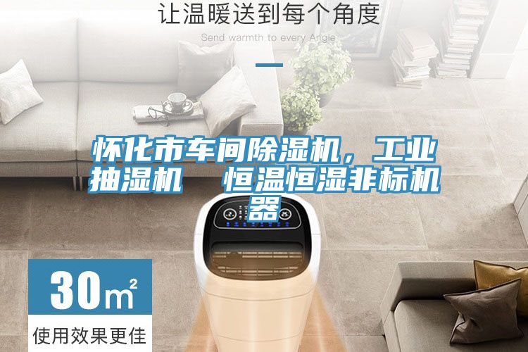 怀化市车间小黄片直播视频，工业抽湿机  恒温恒湿非标机器