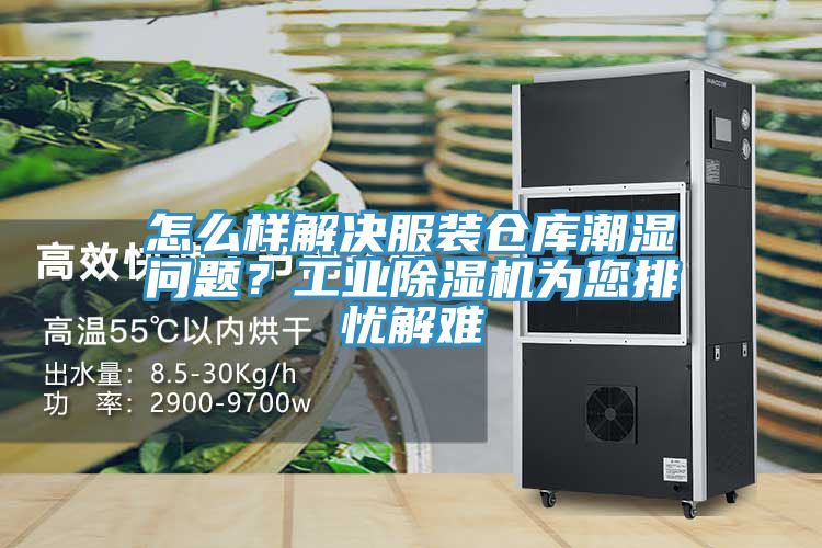 怎么样解决服装仓库潮湿问题？工业小黄片直播视频为您排忧解难