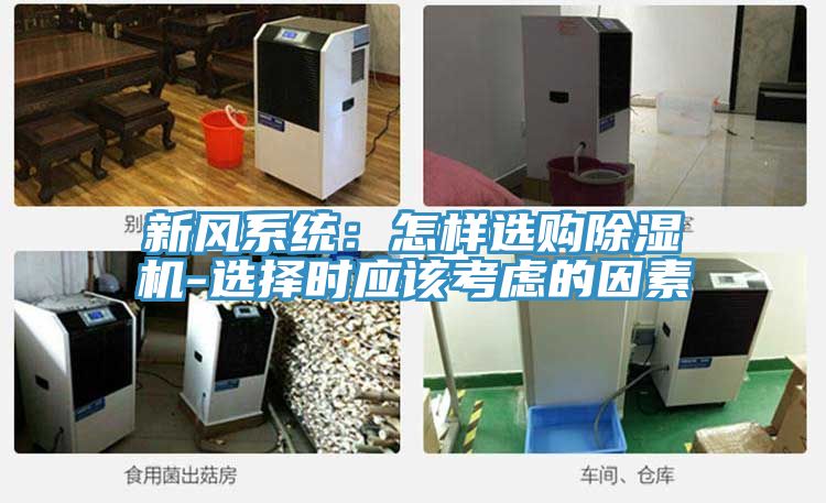新风系统：怎样选购小黄片直播视频-选择时应该考虑的因素