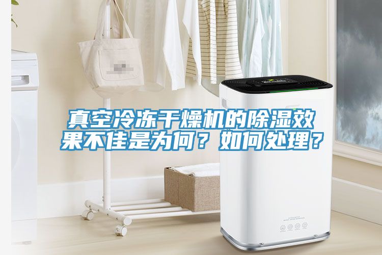 真空冷冻干燥机的除湿效果不佳是为何？如何处理？