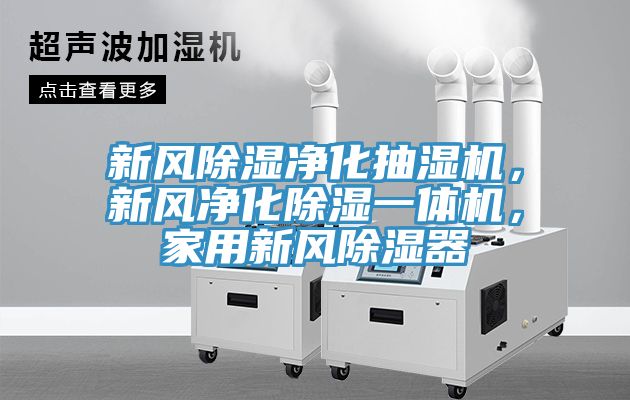 新风除湿净化抽湿机，新风净化除湿一体机，家用新风除湿器