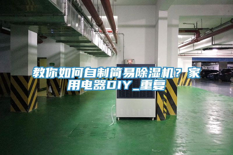 教你如何自制简易小黄片直播视频？家用电器DIY_重复