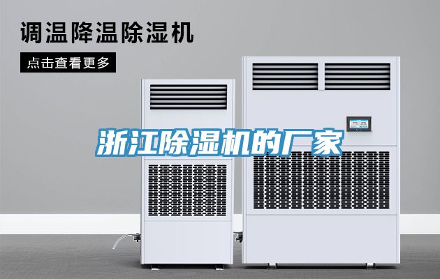 浙江小黄片直播视频的厂家