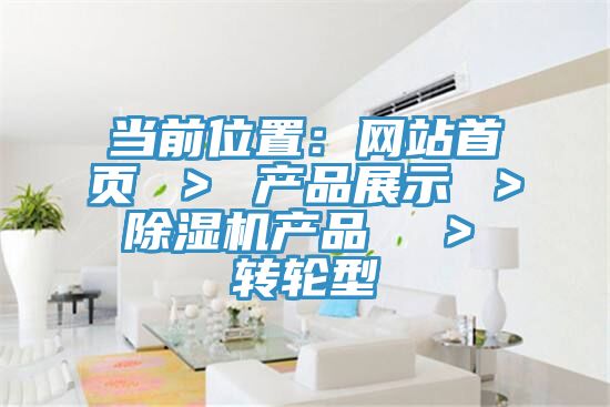 当前位置：网站首页 ＞ 产品展示 ＞ 小黄片直播视频产品  ＞ 转轮型