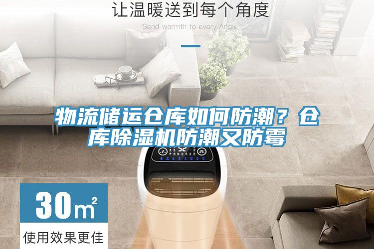 物流储运仓库如何防潮？仓库小黄片直播视频防潮又防霉