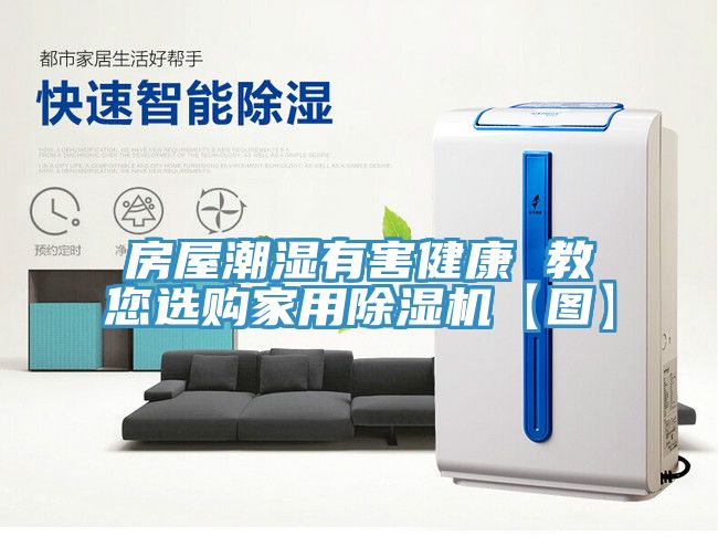 房屋潮湿有害健康 教您选购家用小黄片直播视频【图】