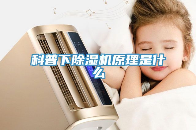 科普下小黄片直播视频原理是什么