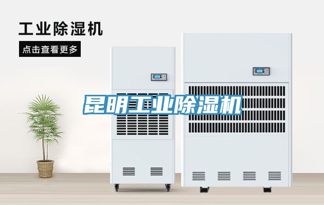 昆明工业小黄片直播视频