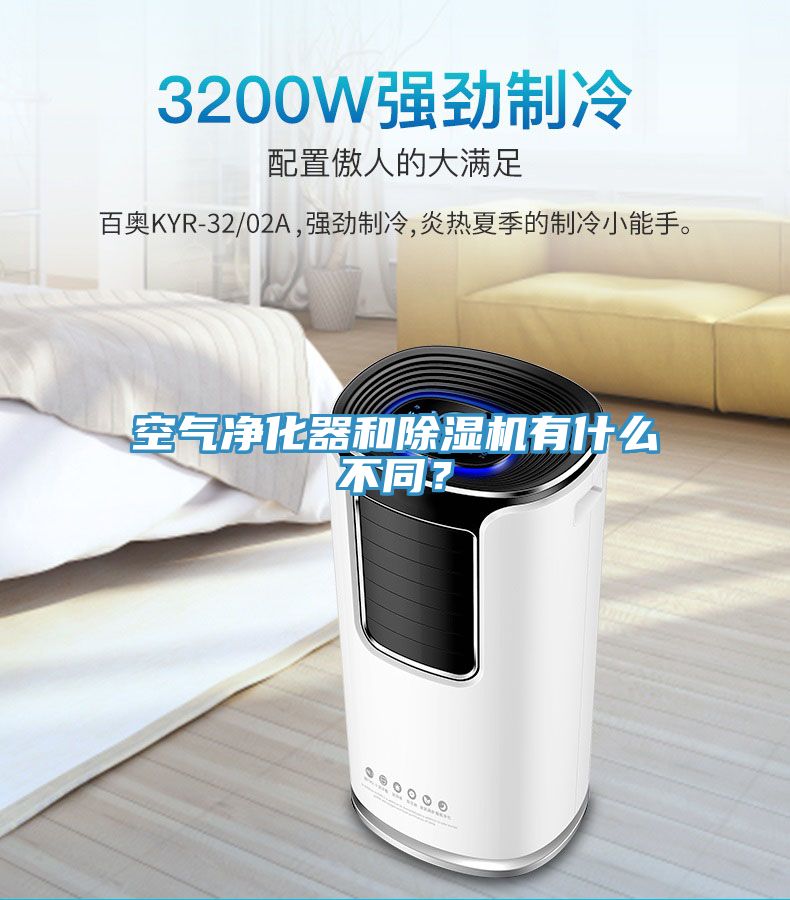 空气净化器和小黄片直播视频有什么不同？