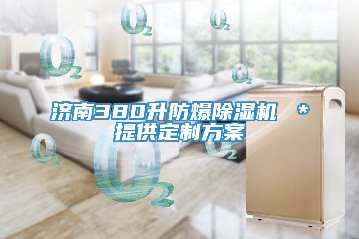 济南380升防爆小黄片直播视频 ＊提供定制方案