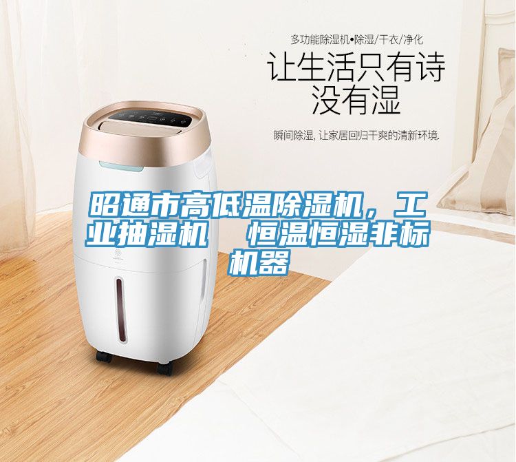 昭通市高低温小黄片直播视频，工业抽湿机  恒温恒湿非标机器